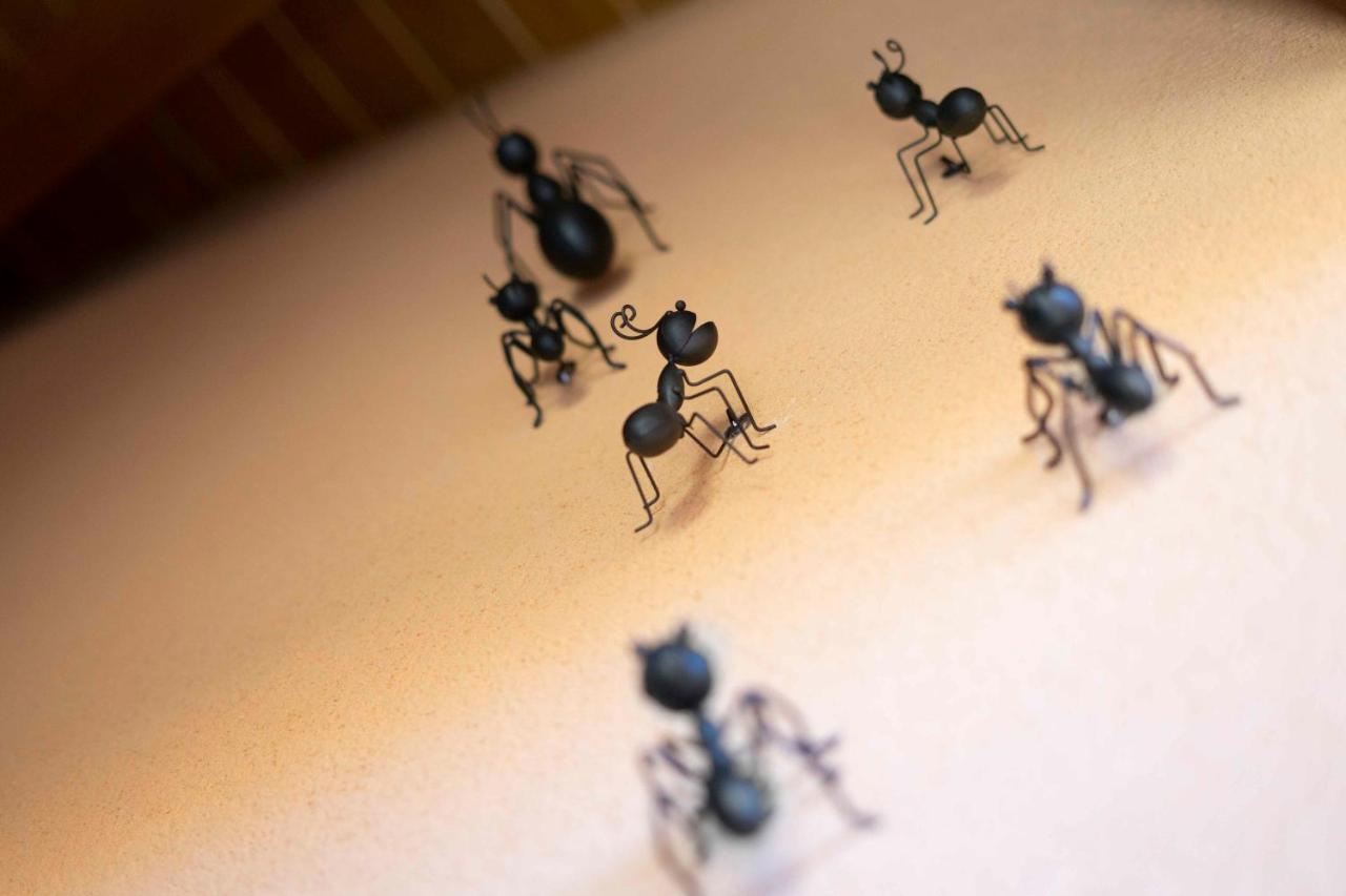 Casa Rural Bonal La Mata de los Olmos エクステリア 写真